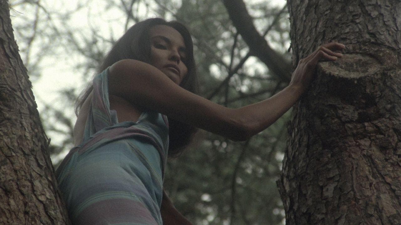 The Alcove (1985) backdrop