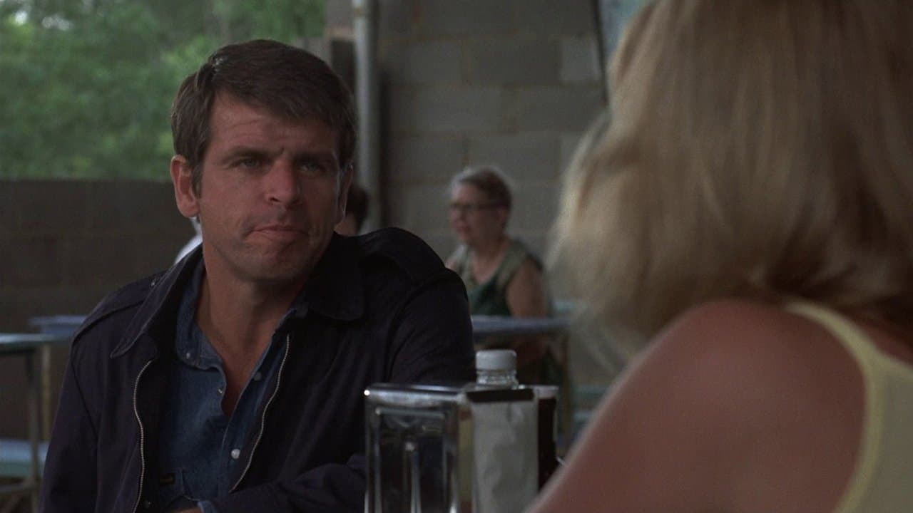 Rolling Thunder (1977) backdrop