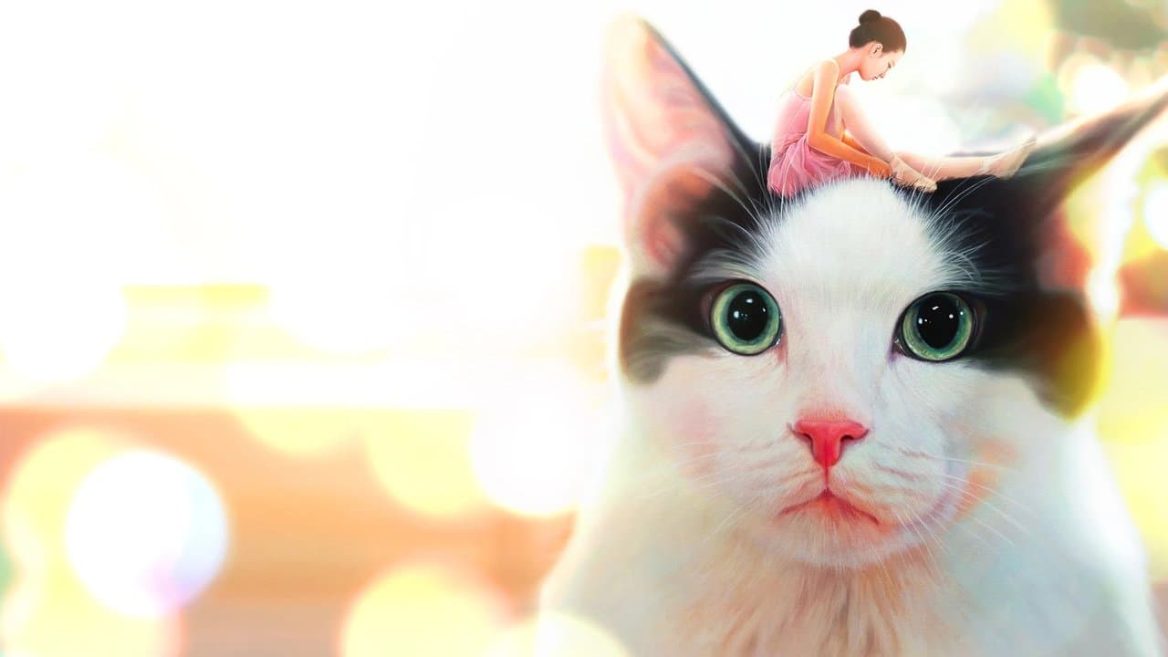 Hello, My Cat (2019) backdrop