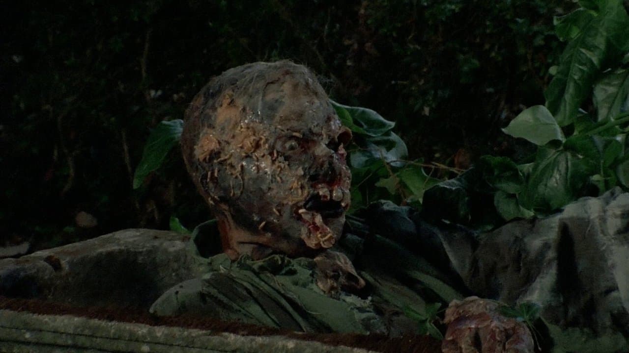 Burial Ground: The Nights of Terror (1981) backdrop