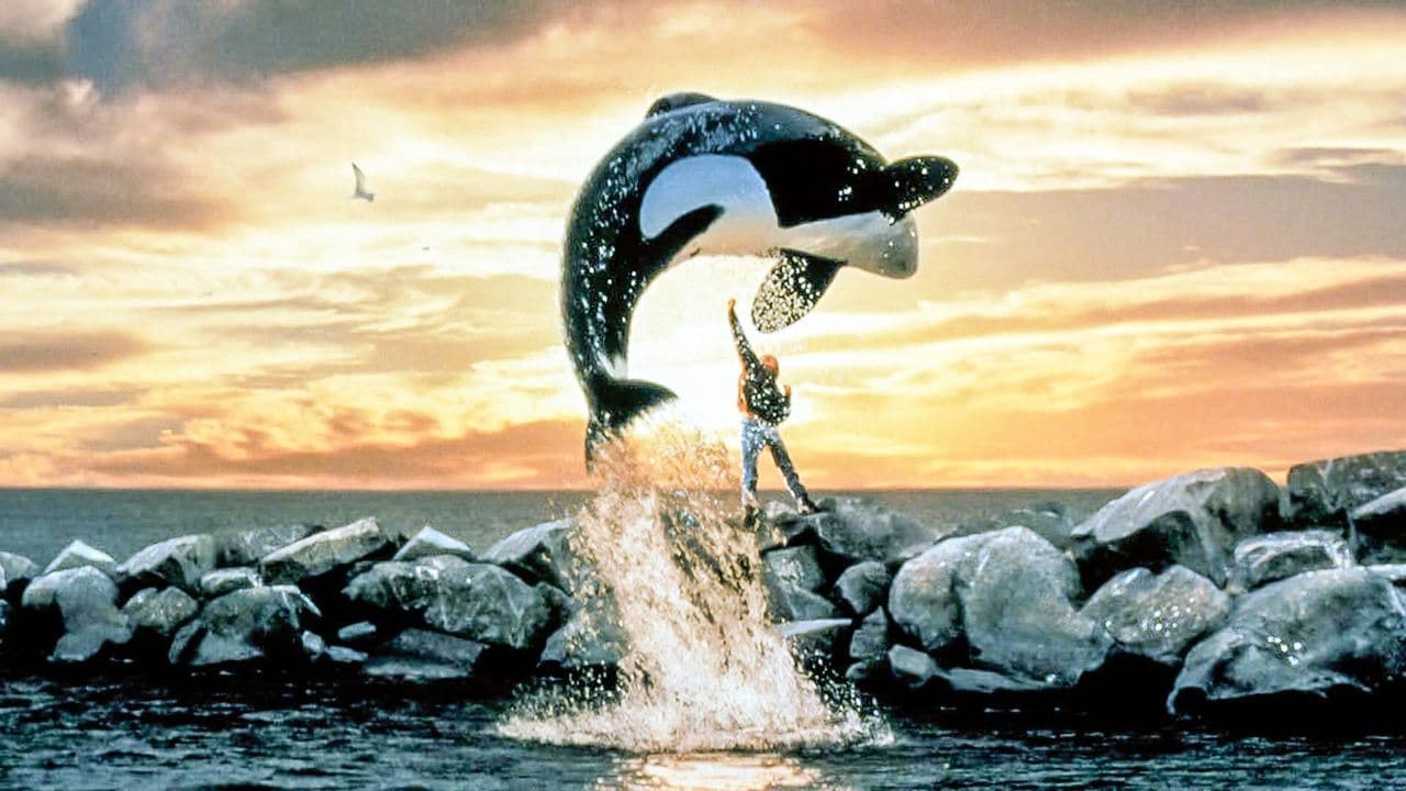 Free Willy (1993) backdrop