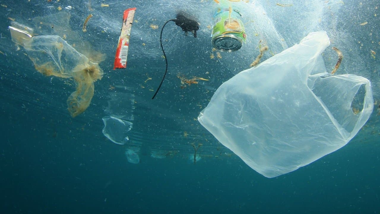 A Plastic Ocean (2016) backdrop