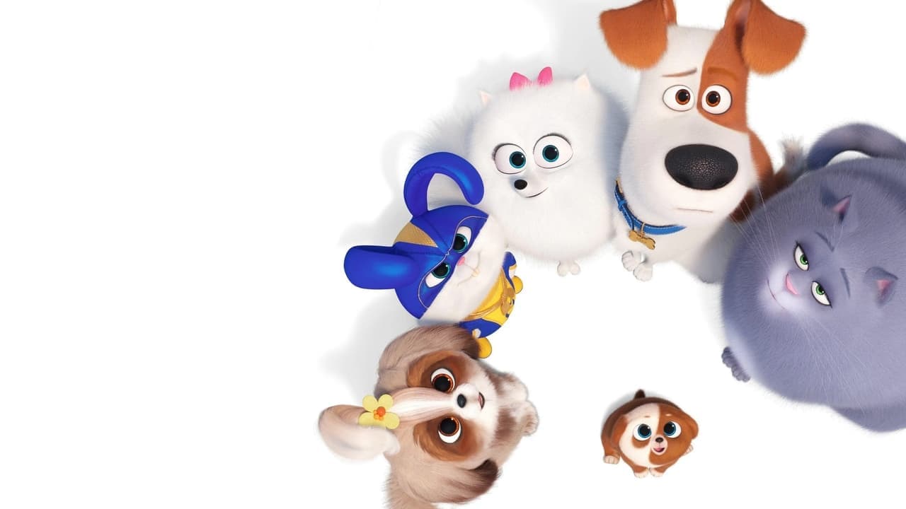 The Secret Life of Pets 2 (2019) backdrop