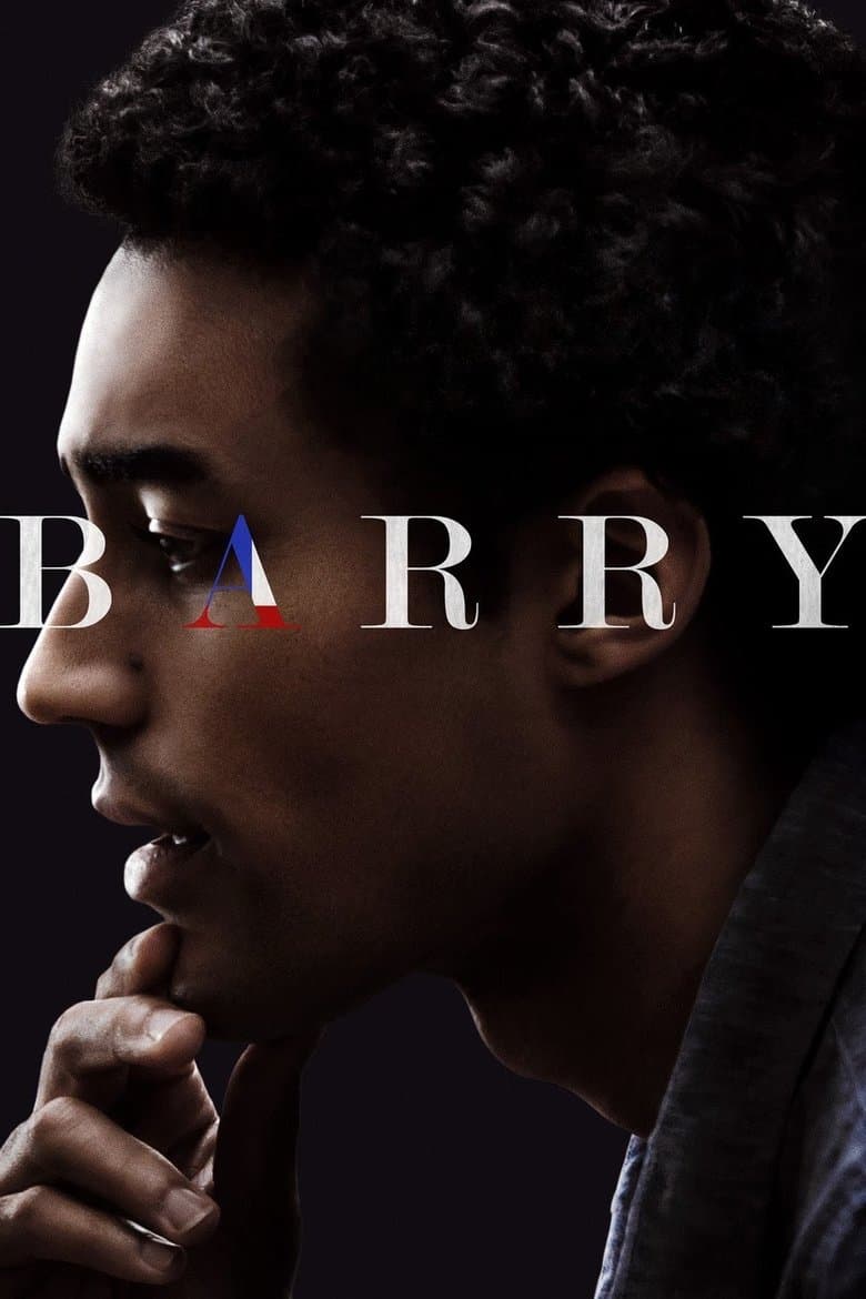 Barry (2016) WEBRip 480p & 720p Free HD Movie Download
