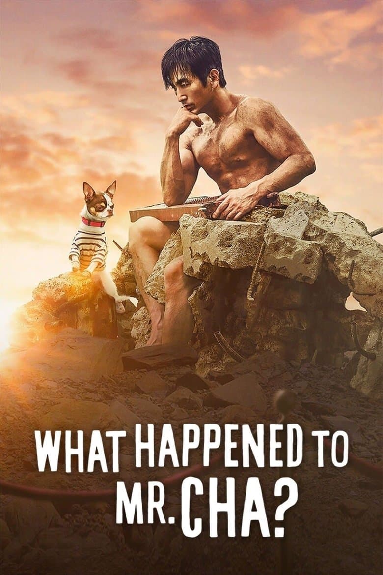 What Happened to Mr Cha? (2021) WEBRip 480p, 720p & 1080p Movie Download