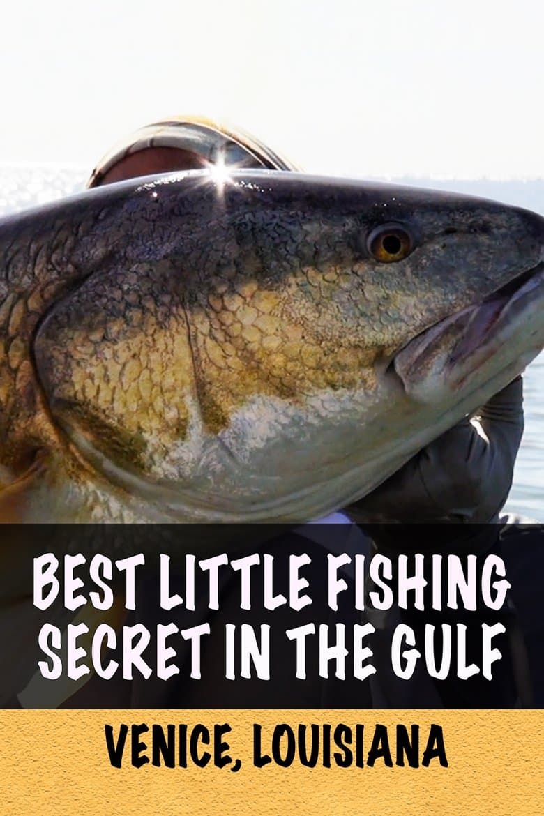 Little Fish (2020)