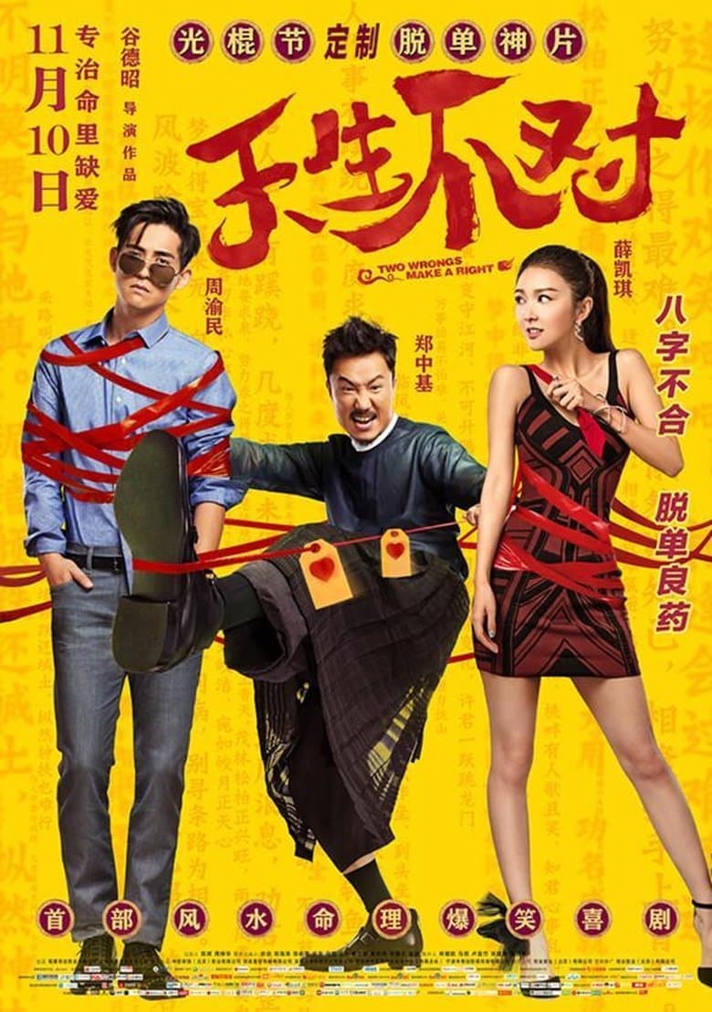 Two Wrongs Make a Right (2017) BluRay 480p & 720p HD Movie Download