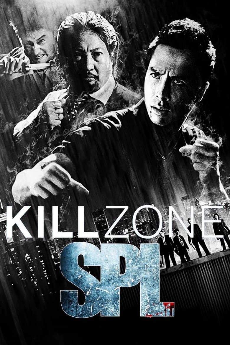 SPL: Kill Zone (2005) BluRay 480p & 720p Free HD Movie Download
