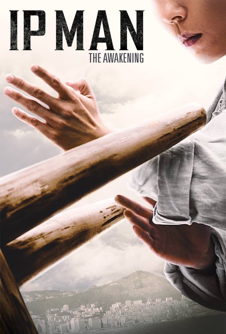 Ip Man: The Awakening (2022) BluRay 480p, 720p & 1080p Mkvking - Mkvking.com