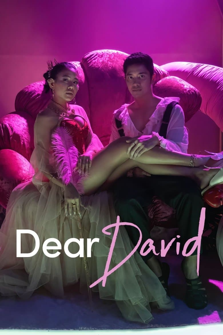 Dear David (2023) WEBRip 480p, 720p & 1080p Full HD Movie Download