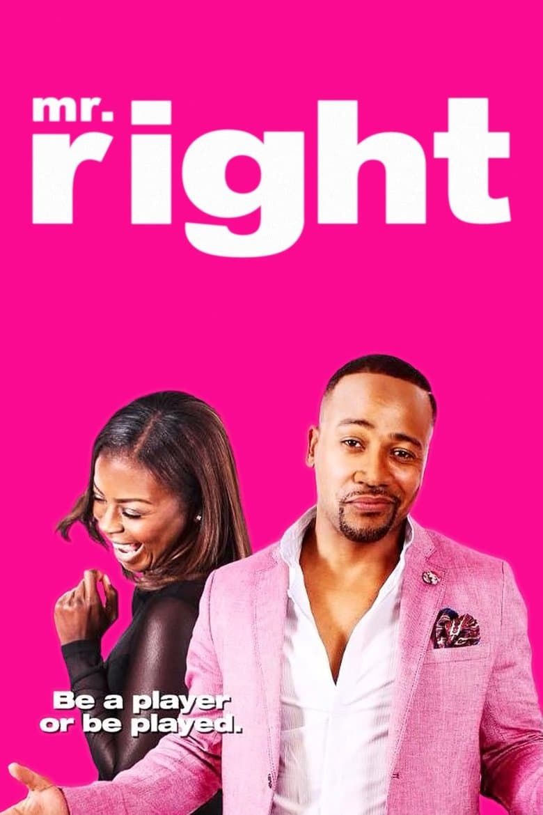 Mr. Right (2015) BluRay 480p & 720p HD Movie Download
