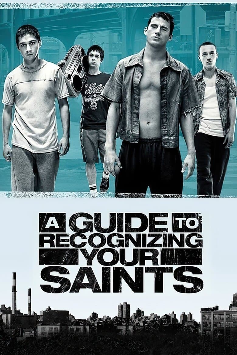 A Guide to Recognizing Your Saints (2006) BluRay Movie Download