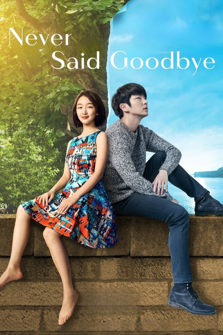Never Said Goodbye (2016) WEB-DL 480p & 720p Free HD Movie Download