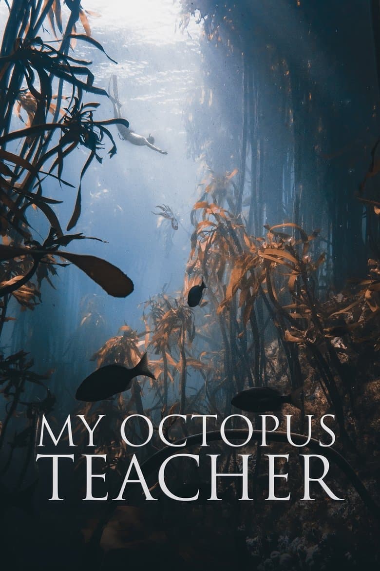 My Octopus Teacher (2020) WEBRip 480p, 720p & 1080p Mkvking - Mkvking.com