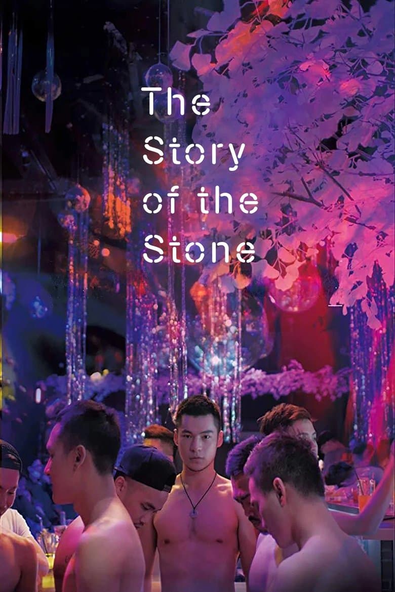The Story of the Stone (2018)