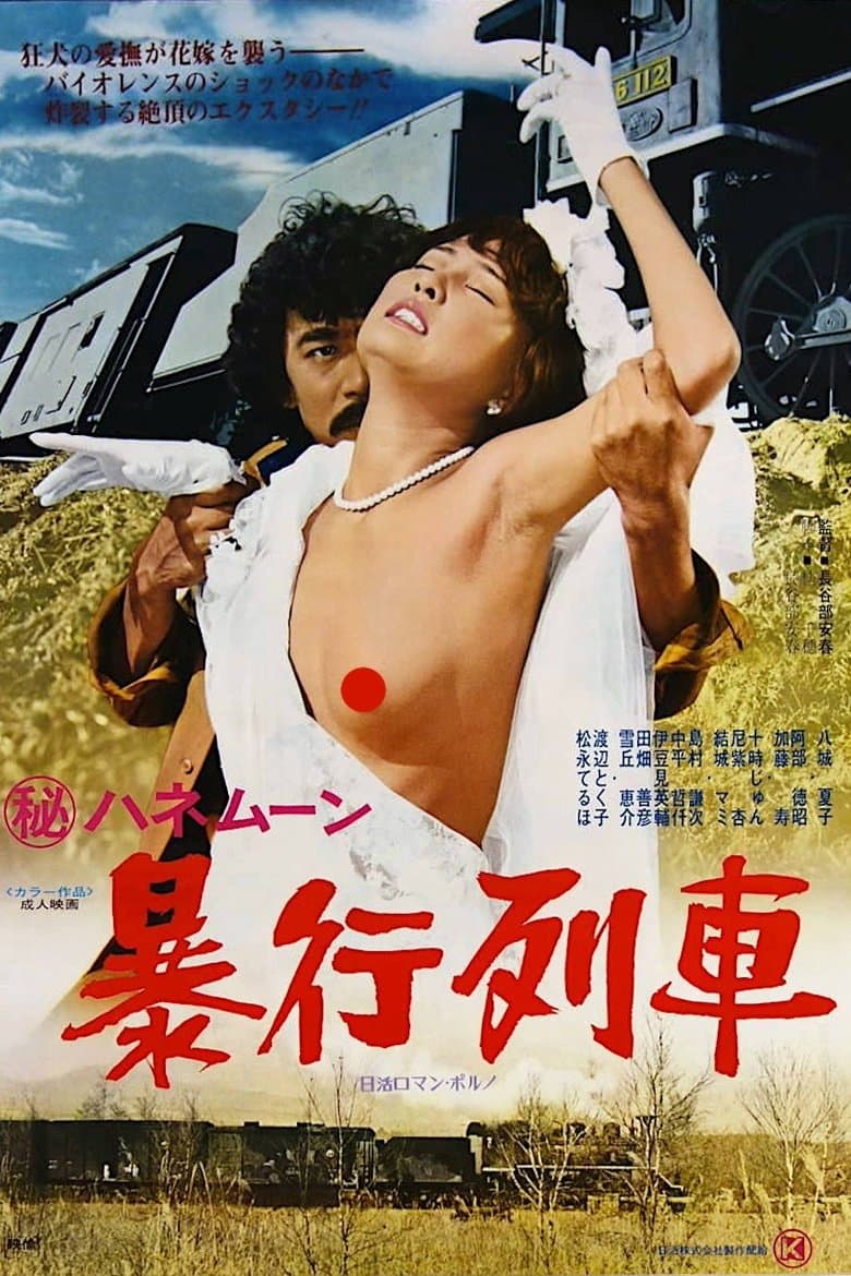 Secret Honeymoon: Rape Train (1977) WEBRip 480p, 720p & 1080p Movie Download
