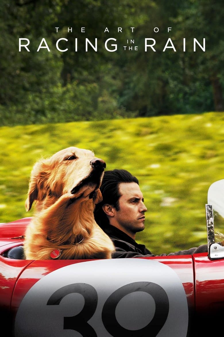 The Art of Racing in the Rain (2019) BluRay 480p & 720p Movie Download