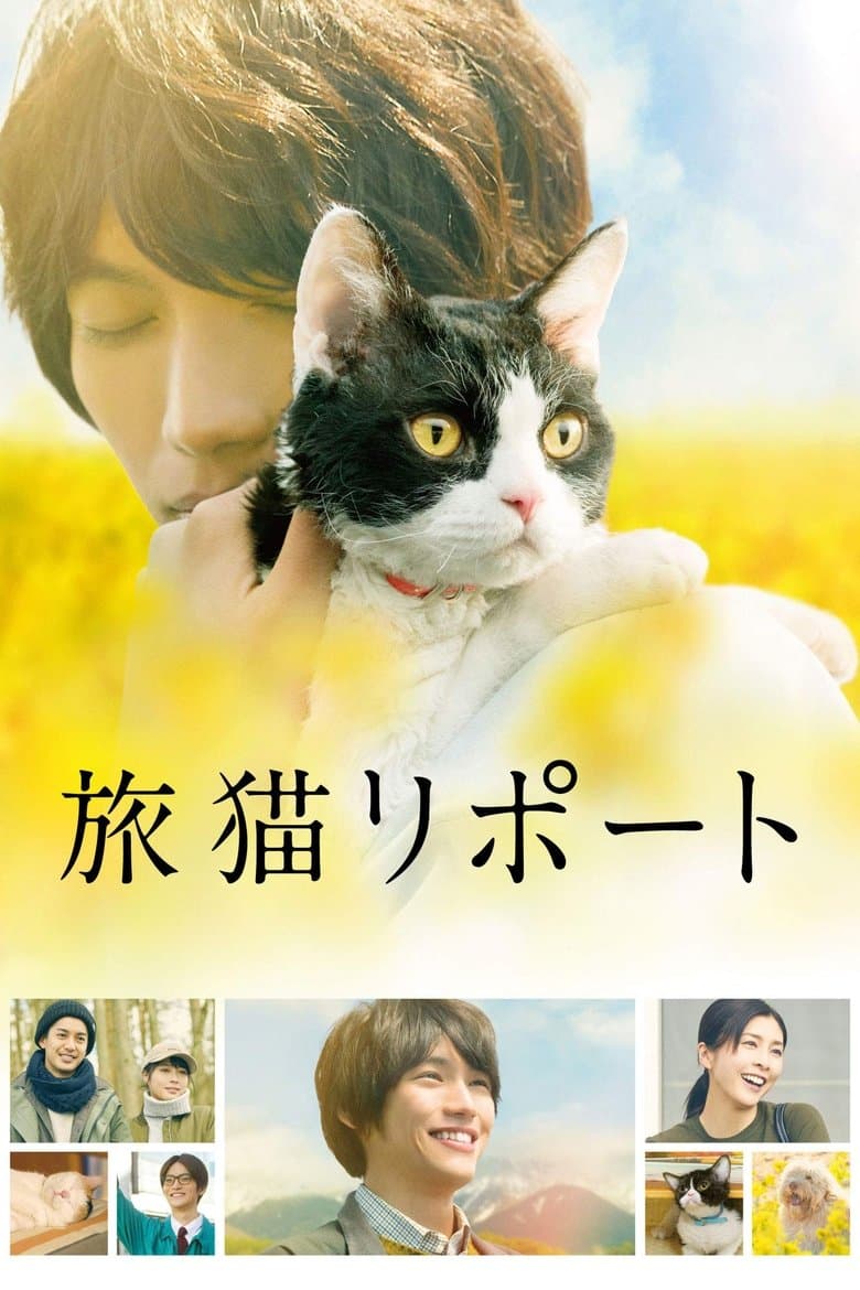 The Travelling Cat Chronicles (2018) BluRay Free HD Movie Download