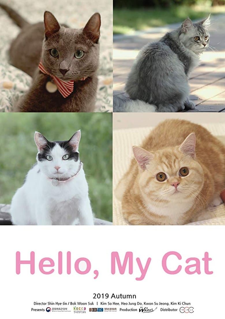 Hello, My Cat (2019) HDRip 480p & 720p Free HD Movie Download
