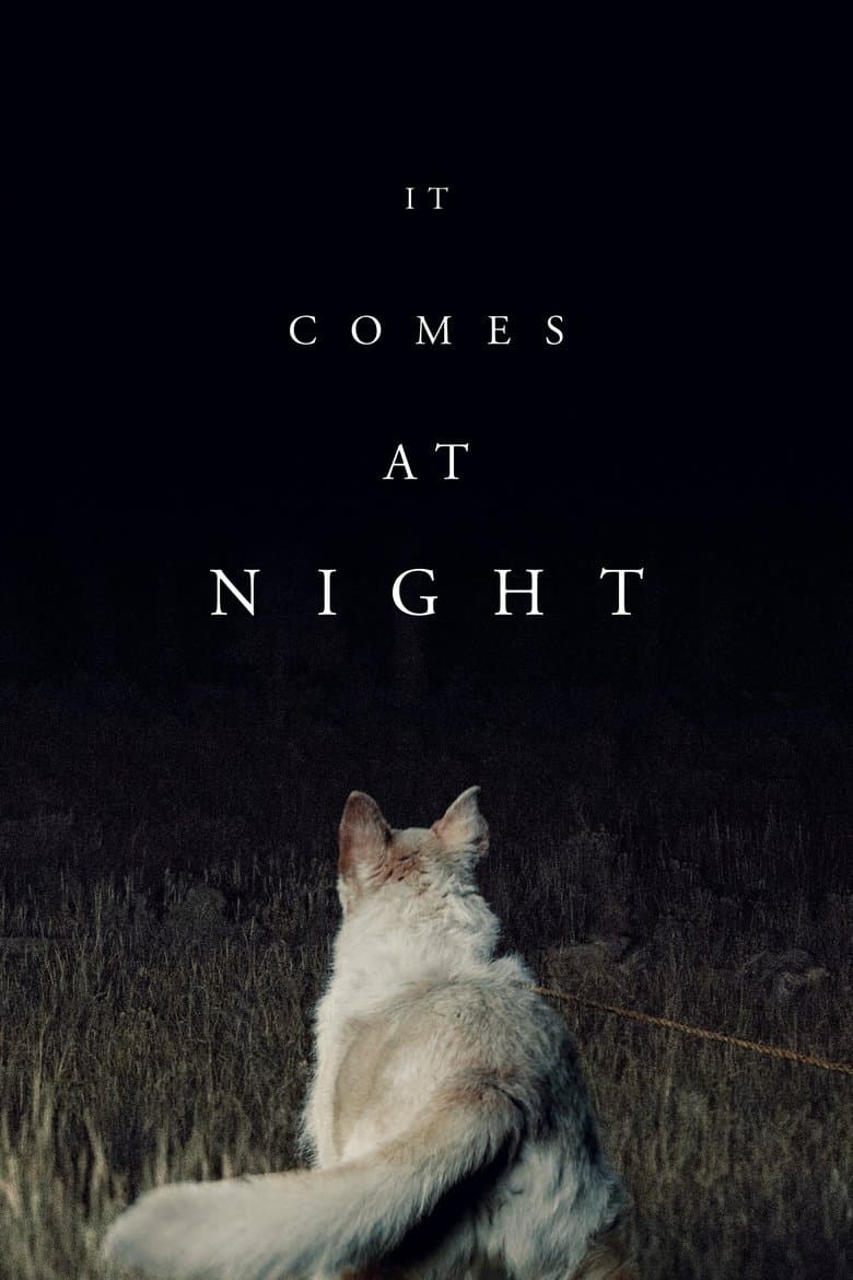 It Comes at Night (2017) BluRay 480p & 720p Free HD Movie Download