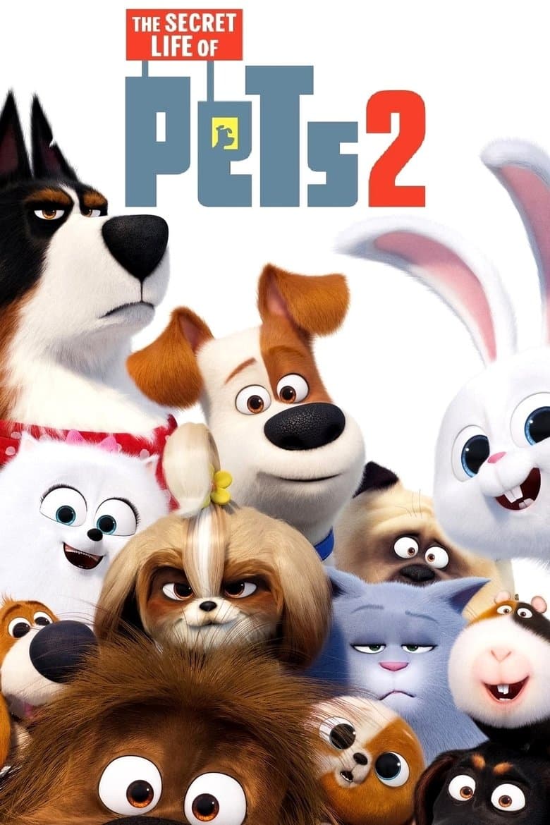 The Secret Life of Pets 2 (2019) BluRay 480p & 720p Movie Download