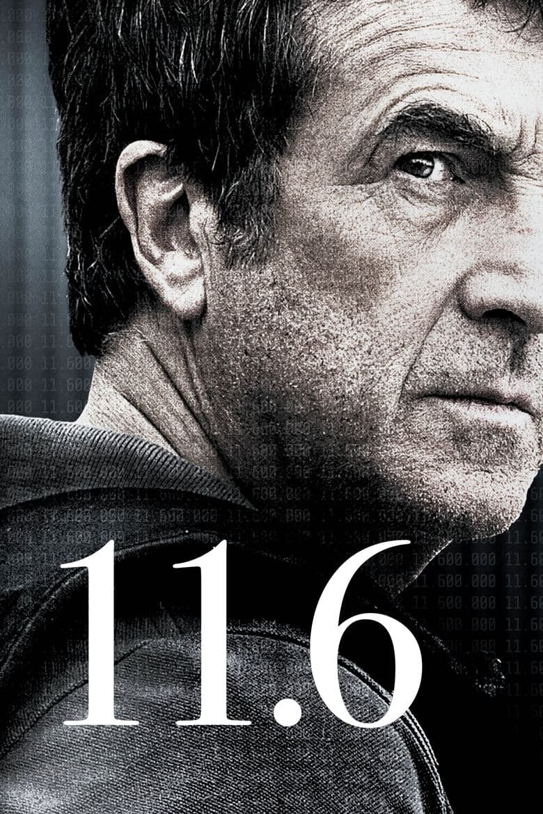 11.6 (2013) BluRay 480p, 720p & 1080p Mkvking - Mkvking.com