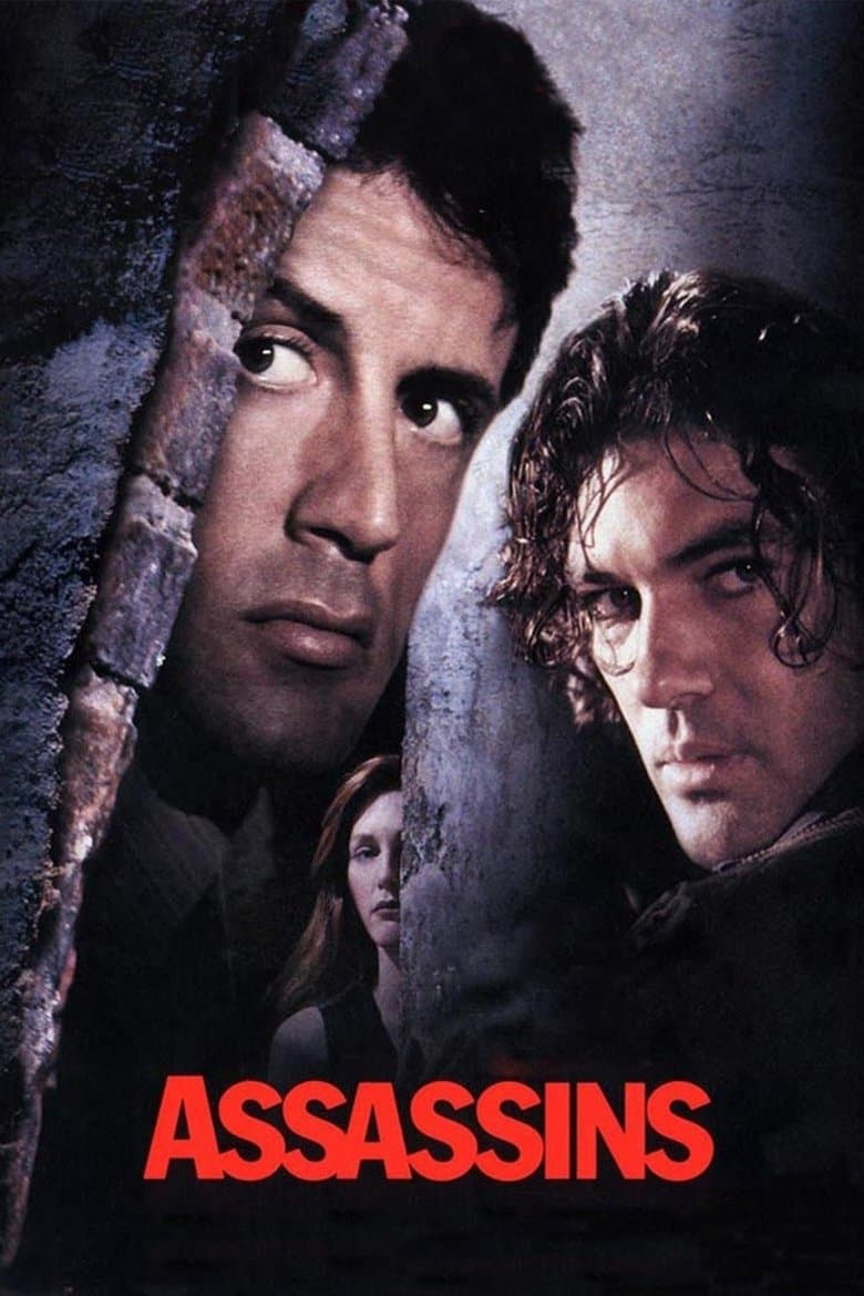 Assassins (1995) BluRay 480p, 720p & 1080p Full HD Movie Download