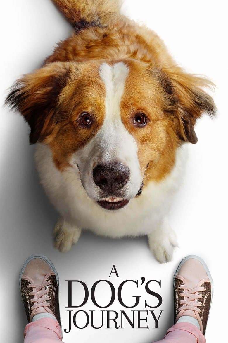 A Dog's Journey (2019) BluRay 480p & 720p Free HD Movie Download